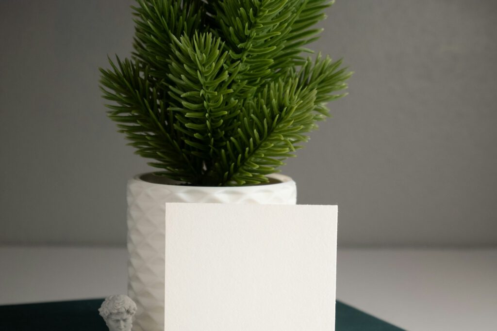 Plante verte posée sur un bureau blanc – illustration de l’article « Ionia Web obtient une note de 4,9 sur 5 de ses clients », blog Ionia Web